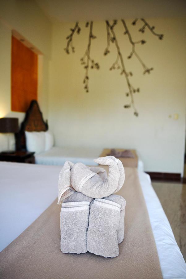 Hotel Mt Tulum Extérieur photo